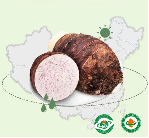 荔浦芋头 | 有机 商品图0