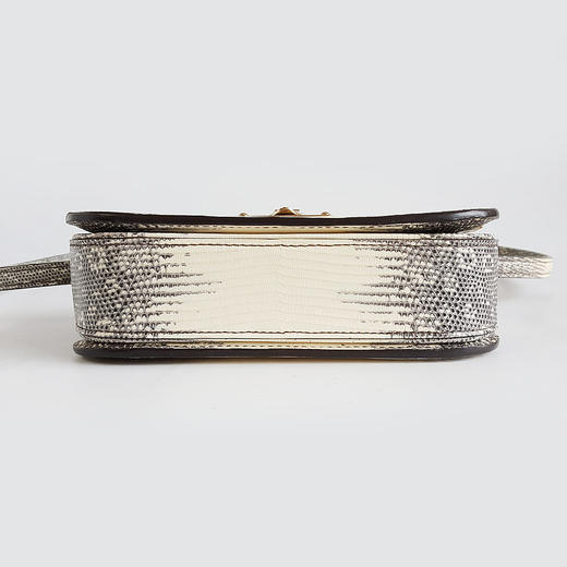 【95新】LV路易威登中号喜马拉雅蜥蜴皮Orsay单肩斜挎包女士 170126TJ51 商品图5