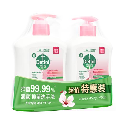 滴露滋润倍护抑菌洗手液（拆包装发货） 商品图1