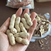 【好吃的🥜闽西特产 福建龙岩湿烤花生】口感香、酥、脆、色泽美观、皮薄易剥、粒大肉满，只要吃过一次的人，忘不了这个神仙花生 商品缩略图5