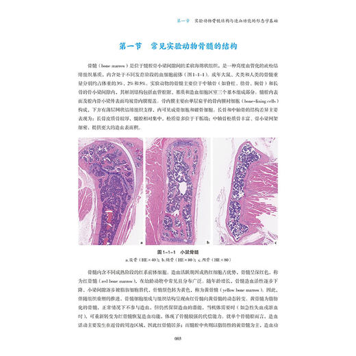 药物非临床安全性评价骨髓毒理学 岑小波 赵璐君 主编 本书以骨髓靶器官毒理学与药物评价技术指南为主线 中国医药科技出版社 商品图3