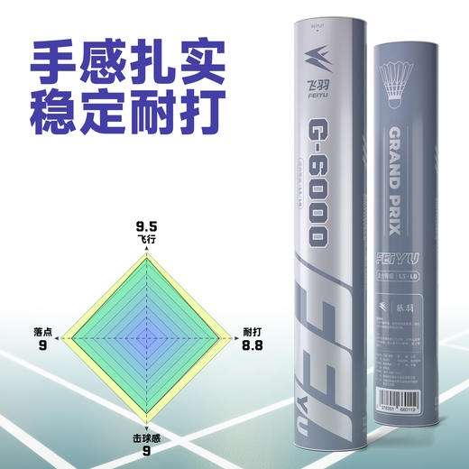 飞羽 羽毛球 比赛级 优质鸭毛 银羽-G6000 商品图1