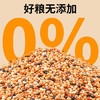比克熊鹦鹉饲料五色黍子混合鸟粮虎皮玄凤牡丹中小型鹦鹉粮食1kg 商品缩略图1