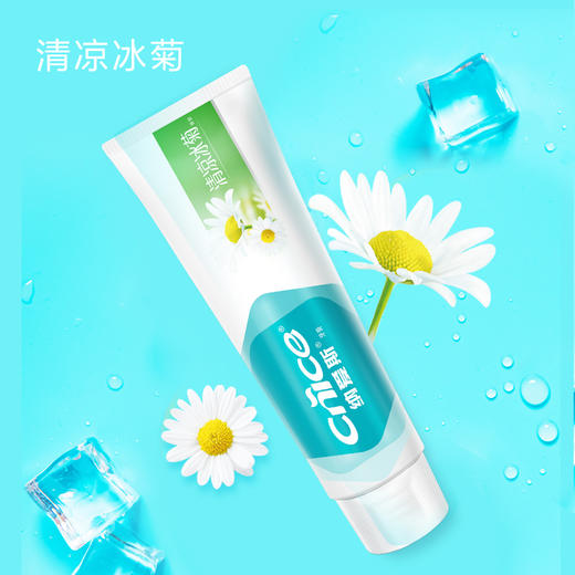 纳爱斯 清凉冰菊白盐薄荷牙膏套装（赠牙刷） 商品图3