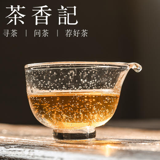 茶香记雪松老茯砖005安化黑茶荒野春茶木仓慢养金花明显甜醇温润 商品图3