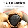 【独头黑蒜】鑫华众 黑蒜 500克/罐 软糯香甜无坏果 商品缩略图3