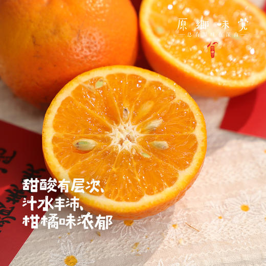 生态沃柑（基地直发-顺丰包邮）| 5斤/箱，来自广西桂林，生产者：唐世荣（合作生产，公平贸易） 商品图1