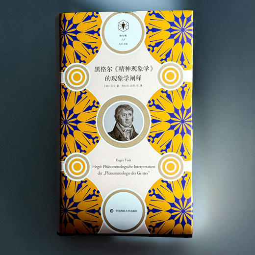 黑格尔《精神现象学》的现象学阐释 快与慢文丛 精装 商品图1