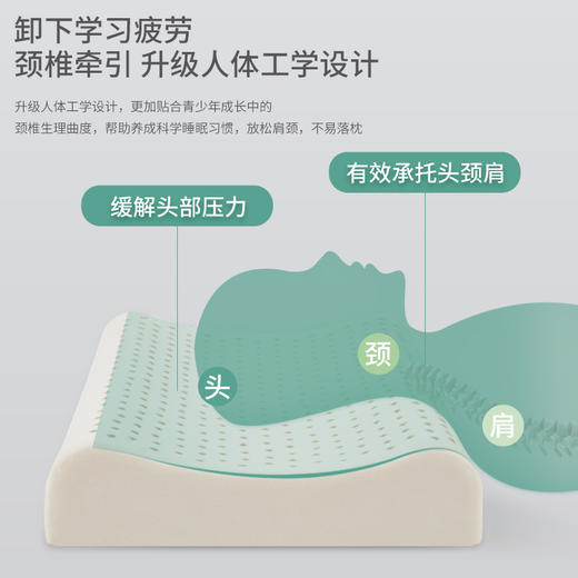 【品牌直发】波浪款儿童乳胶枕 商品图4