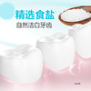 纳爱斯 清凉冰菊白盐薄荷牙膏套装（赠牙刷） 商品缩略图4