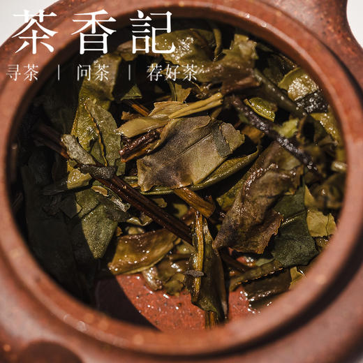 茶香记 枞芳牡丹茶砖024 福鼎白茶 福鼎大毫 点头镇  二级白牡丹  荒野茶园 商品图4