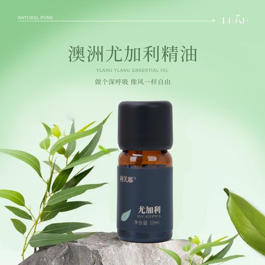 利芙耶 全家福精油套组10ml/瓶 商品图4