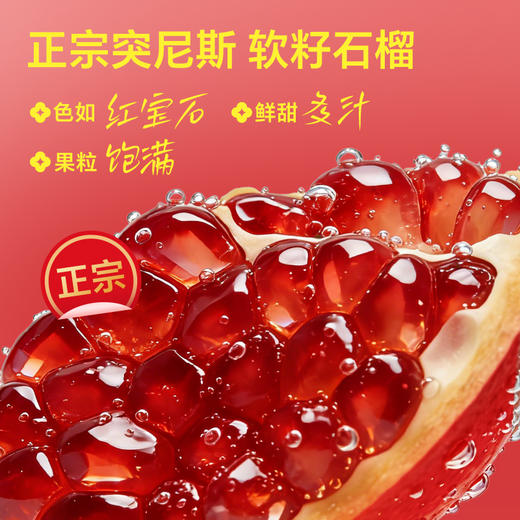 光合植造 发财瓶（软籽石榴黑加仑果蔬汁）310ml 多规格 商品图1