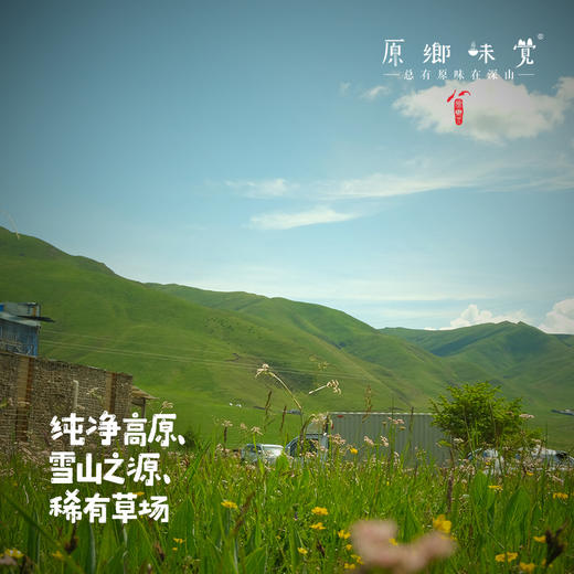 青藏高原牦牛酸奶（基地直发-顺丰快递） | 多种规格，来自青海同德县，生产者：岗仁梅朵【合作生产，公平贸易】 商品图2