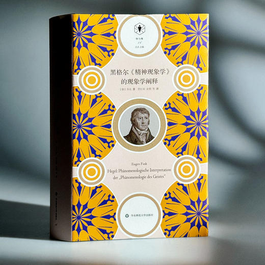 黑格尔《精神现象学》的现象学阐释 快与慢文丛 精装 商品图3