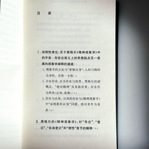 黑格尔《精神现象学》的现象学阐释 快与慢文丛 精装 商品图7