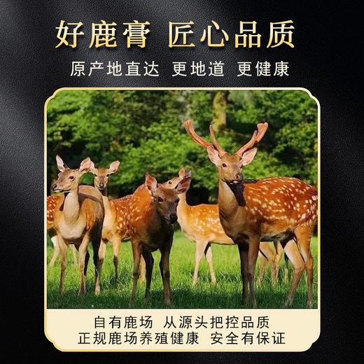 鹿仔膏（女膏 纯梅花鹿）【首发】 商品图4