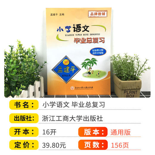 26孟建平小学毕业总复习小学升初中衔接教材专项训练知识大全 商品图1