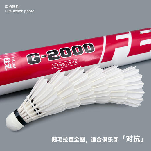 飞羽 羽毛球 比赛级 优质鹅毛 红羽-G2000 商品图5
