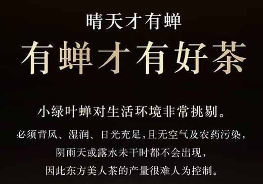 高山有机乌龙茶 虫做一半人做一半 美人茶（自用/瓷罐礼盒） 商品图5