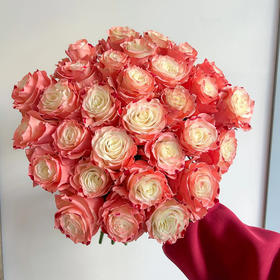 厄瓜多尔Sweet marbled/草莓奶昔-10支