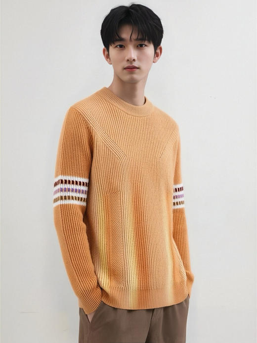 【璀璨年红】百分百羊绒衫男士保暖半高领臂珑提花毛衣2025秋冬新款气质百搭上衣潮 商品图4