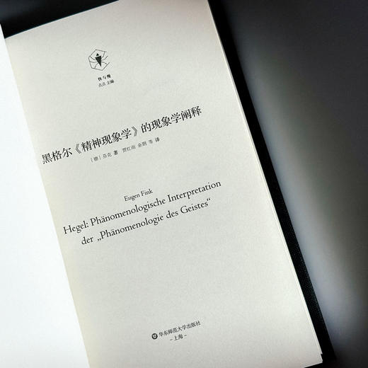 黑格尔《精神现象学》的现象学阐释 快与慢文丛 精装 商品图6