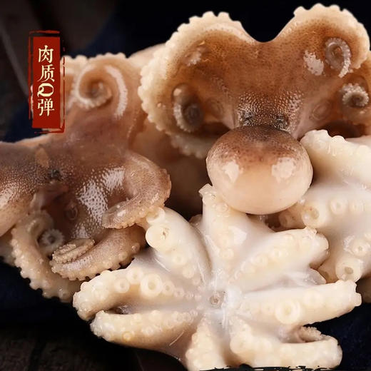 东山海鲜大礼包 鱼虾蟹三十多种不同美味海鲜 产地直发 顺丰发货【满3件包邮】 商品图11