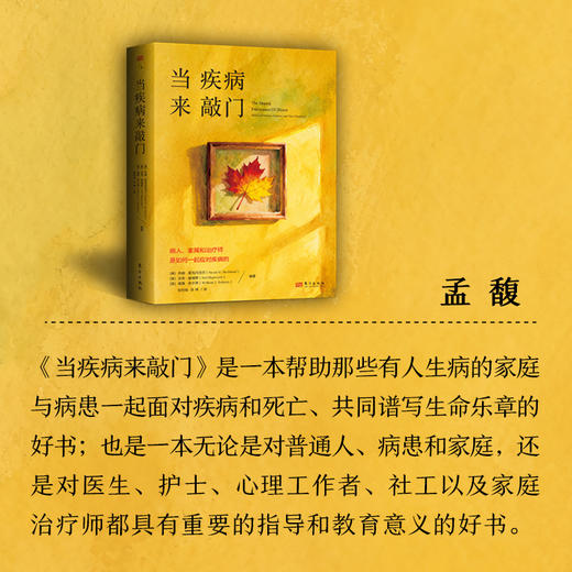 当疾病来敲门：病人、家属和治疗师是如何一起应对疾病的 商品图7