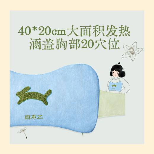 【真不二】「散结套组」玳玳花胸部热敷袋+散结汤1袋+元胡五灵脂贴2盒八髎贴 商品图3