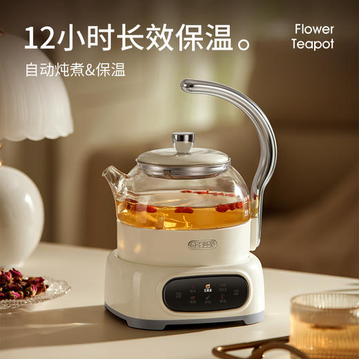 史诗级捡漏【德世朗花茶壶】600ml容量 商品图4