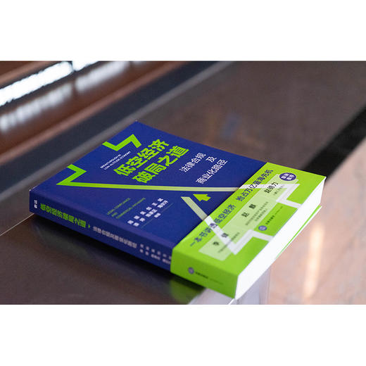 低空经济破局之道：法律合规及商业化路径 周琼 吴剑 王斌 漆婷 陈承正 海尔汗编著 法律出版社 商品图5