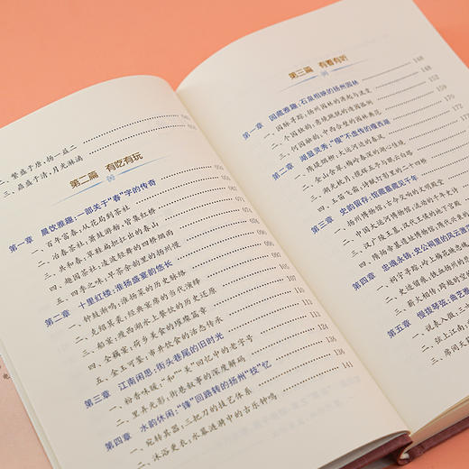 扬州传  张新科 著 商品图4