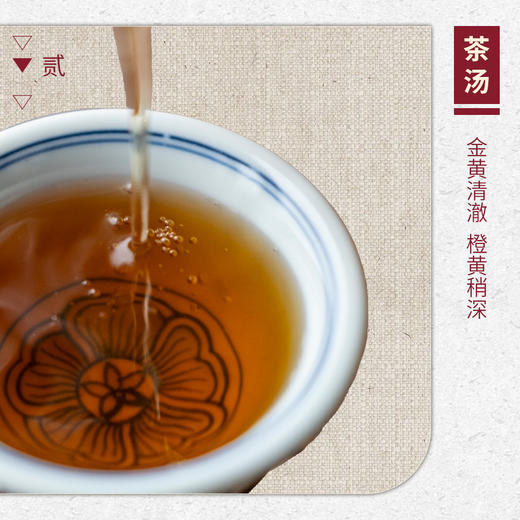 【山纯限品】2026年043玉华洞四角岩老枞水仙17g 商品图3