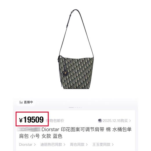 一店k （香港🇭🇰订单！客供面料！）新年发财桶！时髦精的秋冬搭子！迪丽热巴明星同款 小号老花水桶包 商品图5