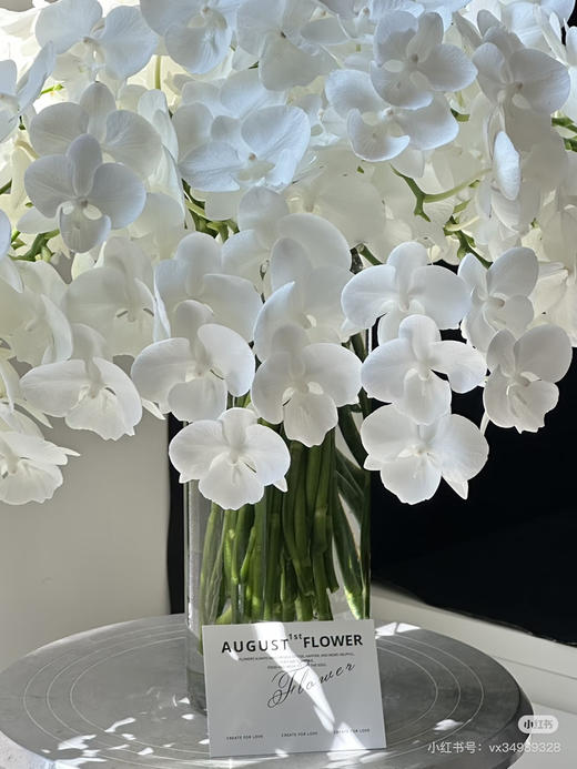 【纯洁的爱】蝴蝶兰-白天鹅（鲜切枝）单枝 商品图1