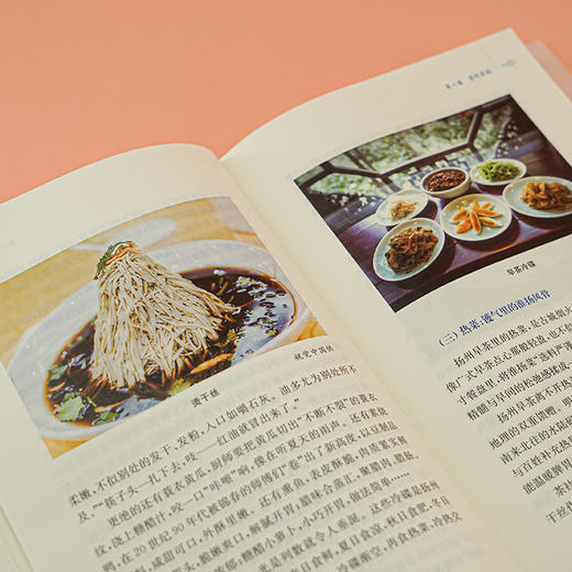 扬州传  张新科 著 商品图7