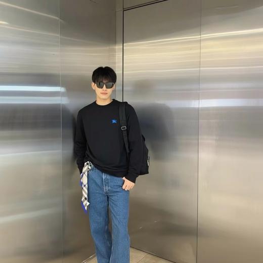 F012225胸前战马刺绣logo两色情侣款圆领卫衣 商品图4