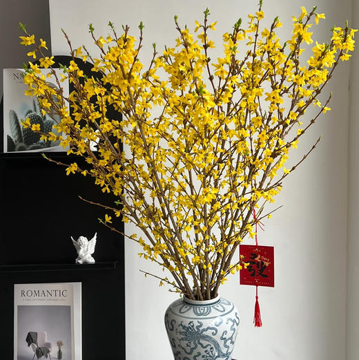 荷兰-寸寸金-10枝/扎 商品图1