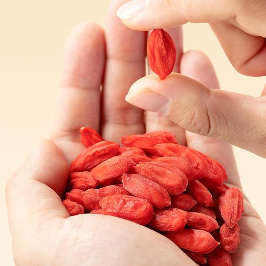 冻干枸杞70g 商品图3