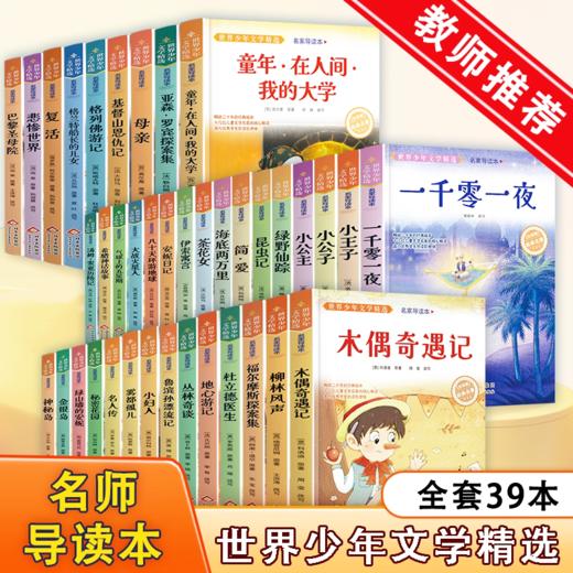 世界少年文学精选名家导读本简爱复活茶花女小妇人金银岛绿野仙踪雾都孤儿柳林风声一千零一夜地心游记杜立德医 商品图0