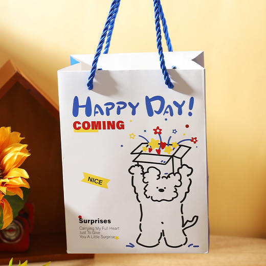 快乐加倍礼品袋S礼袋-纪念日百货门店同款167193799 商品图2