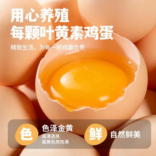 【与辉爆款】晋斋坊 叶黄素鸡蛋 黄大饱满 口感嫩滑 色泽金黄 30枚*1箱 商品图2