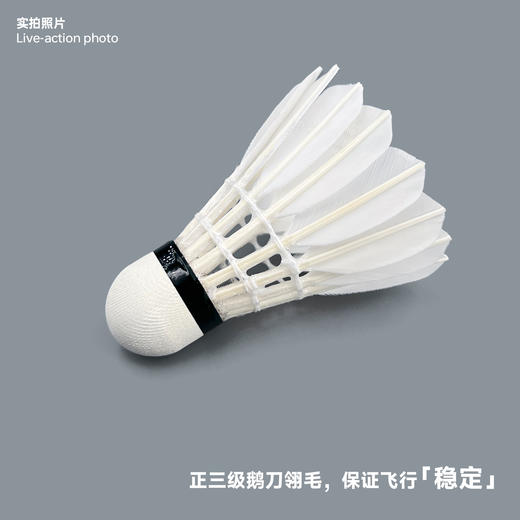 飞羽 羽毛球 比赛级 优质鹅毛 金羽-G7000 商品图5