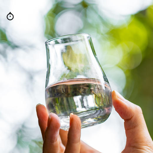 企鹅市集|奈良县风之森酒造 KAZE 露叶风707纯米清酒 限定插画酒标定制版 洋梨青苹果 商品图6