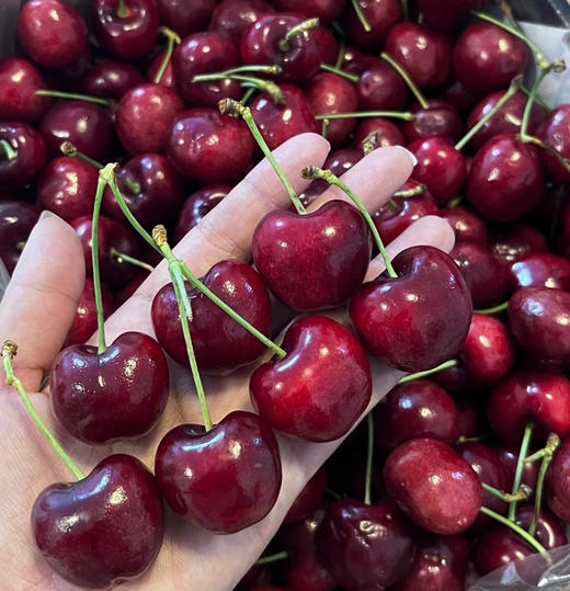 拉宾斯车厘子，3JD，5斤/箱 商品图0