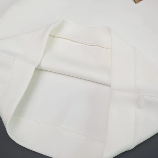 F012226新款春季胸前字母logo两色圆领卫衣男女同款 商品图13