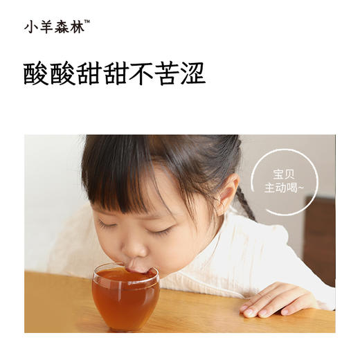 「保和膏 」儿童脾胃膏 酸甜好喝 宝宝易接受 10s冲饮 商品图3