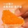【即将收官】2026丑美阿柑生态耙耙柑 鲜果4.5斤装 九甜一酸自然成熟 预计3月中旬下架 商品缩略图3