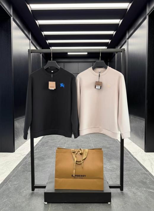 F012225胸前战马刺绣logo两色情侣款圆领卫衣 商品图0